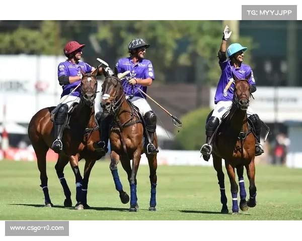 王者杯马球赛钉蹄师特训班阿根廷传统钉蹄技艺现场传授